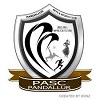 Pandallur Higher Secondary School Logo Image