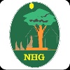 New Horizon Gurukul School Logo Image