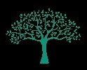 Bodhi Taru International School ,  Knowledge Park I Logo