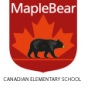 Maple Bear Canadian Pre school Logo Image