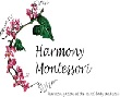 Harmony Montessori,  Anand Vihar Society Logo