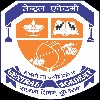 Central Academy Logo Image