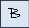 B. N. Model School Logo Image
